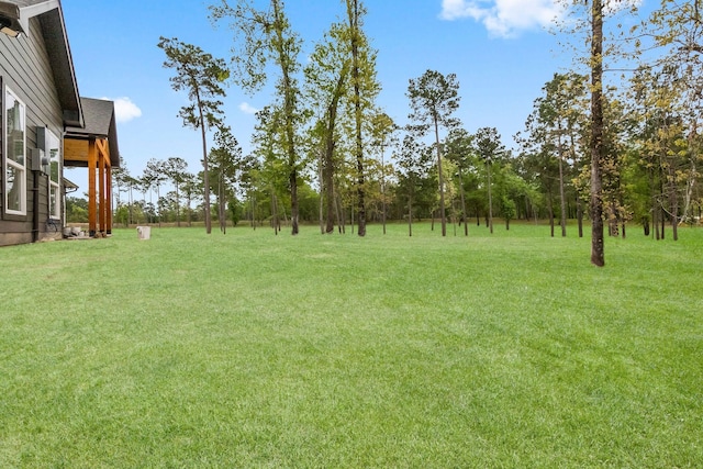 393 Hanson Rd, Onalaska, TX 77360 - photo 38