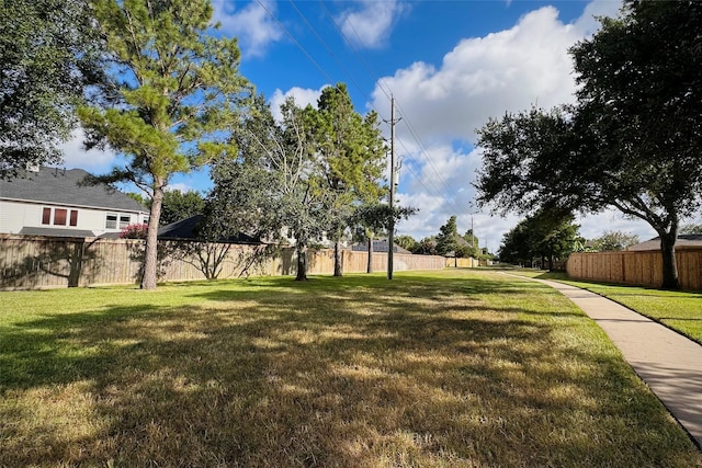 4602 Gardenlily Ct, Katy, TX 77494 - photo 49
