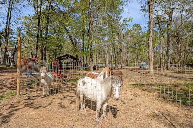 41103 Mill Creek Rd, Magnolia, TX 77354 - photo 29