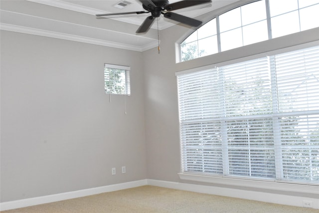 418 Fowler St, Houston, TX 77007 - photo 41
