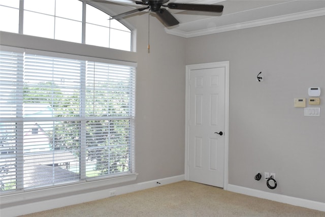 418 Fowler St, Houston, TX 77007 - photo 42