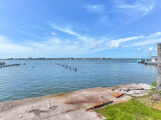 9705 Teichman Rd, Galveston, TX 77554 - photo 18
