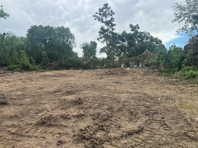 1403 Wichman St, Houston, TX 77007 - photo 2