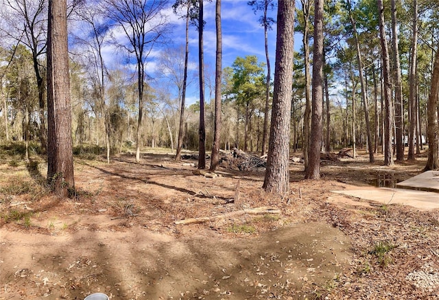 11253 Greenway Dr, Plantersville, TX 77363 - photo 2