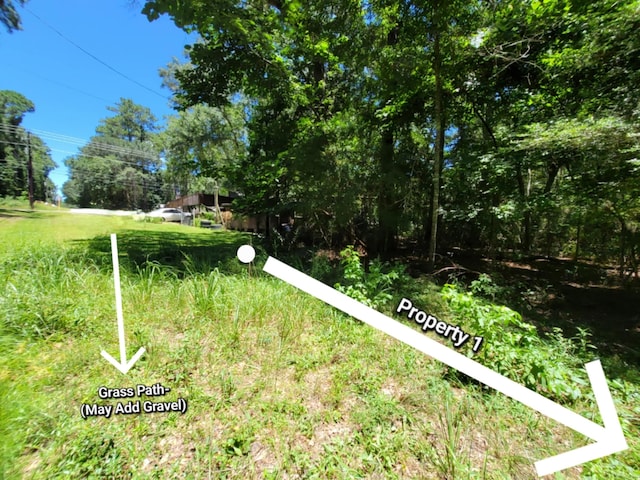 0 Chestnut Dr, Montgomery, TX 77356 - photo 1