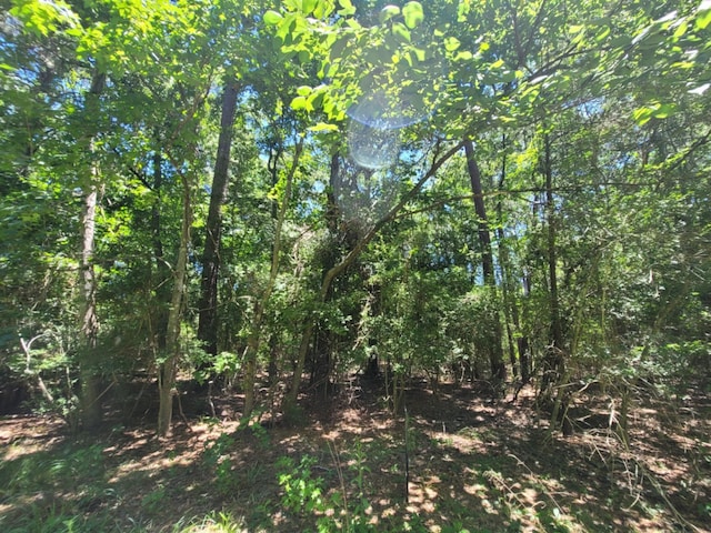 0 Chestnut Dr, Montgomery, TX 77356 - photo 2