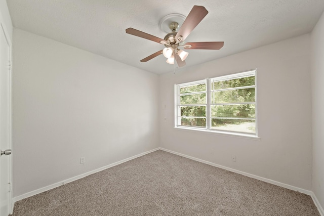 2206 Hickory Ln, Pasadena, TX 77502 - photo 6