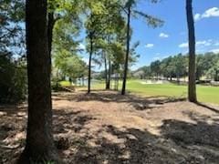 384 W Shore Ln, Montgomery, TX 77356 - photo 2