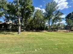 384 W Shore Ln, Montgomery, TX 77356 - photo 4
