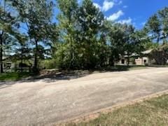 384 W Shore Ln, Montgomery, TX 77356 - photo 6