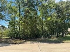 384 W Shore Ln, Montgomery, TX 77356 - photo 7