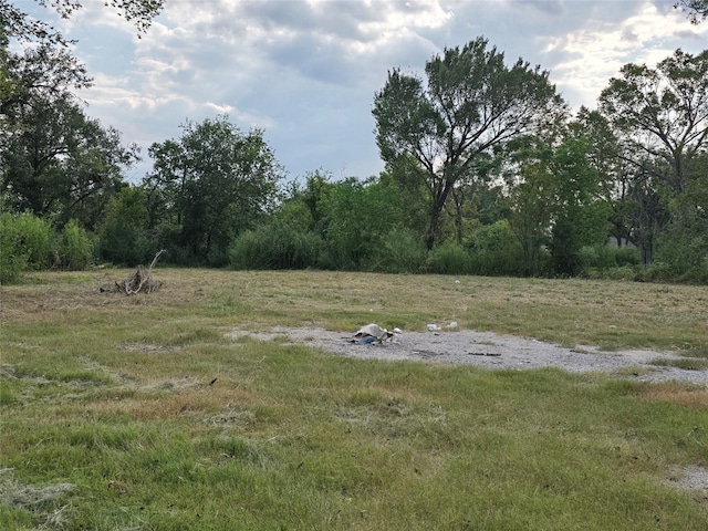 9203 W Montgomery Rd, Houston, TX 77088 - photo 2