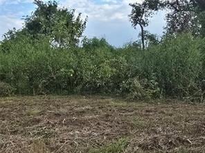 9203 W Montgomery Rd, Houston, TX 77088 - photo 7