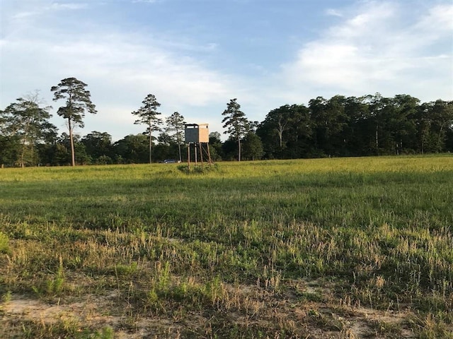 0.00 County Road 2178, Cleveland, TX 77327 - photo 8