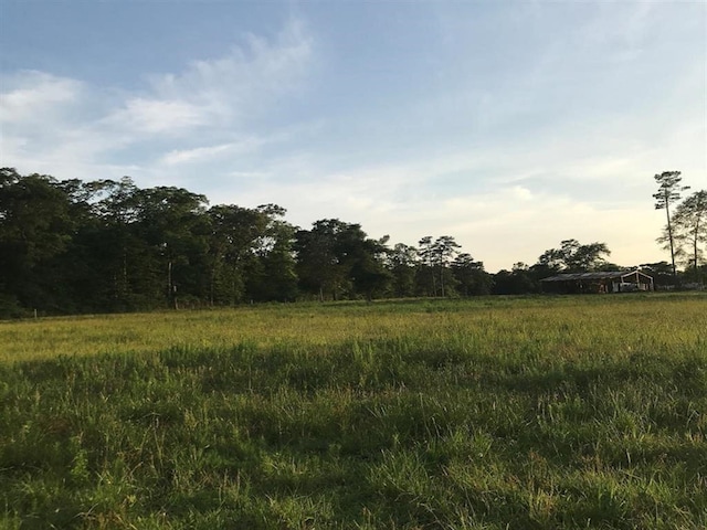 0.00 County Road 2178, Cleveland, TX 77327 - photo 10