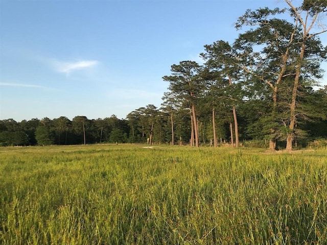 0.00 County Road 2178, Cleveland, TX 77327 - photo 11