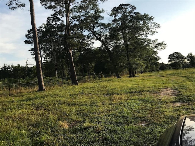 0.00 County Road 2178, Cleveland, TX 77327 - photo 16
