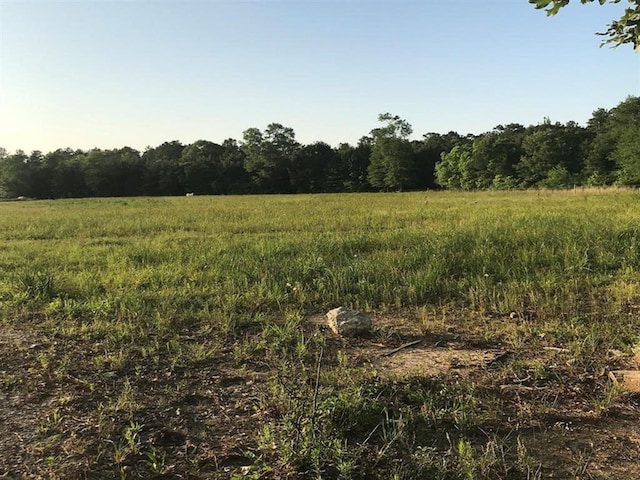 0.00 County Road 2178, Cleveland, TX 77327 - photo 17