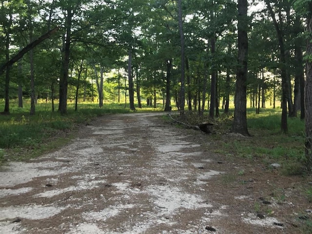 0.00 County Road 2178, Cleveland, TX 77327 - photo 6