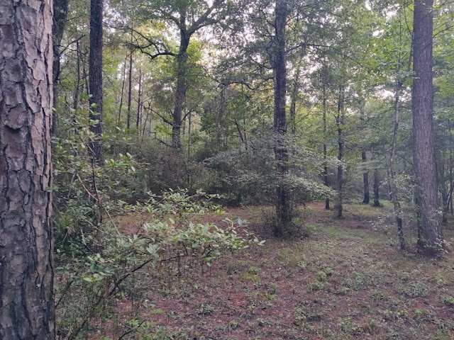 232 Texas Grand Rd, Huntsville, TX 77340 - photo 7