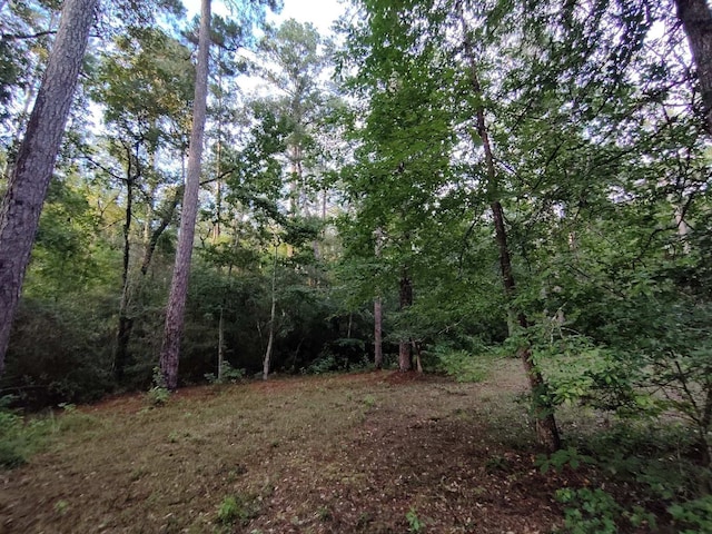 232 Texas Grand Rd, Huntsville, TX 77340 - photo 3