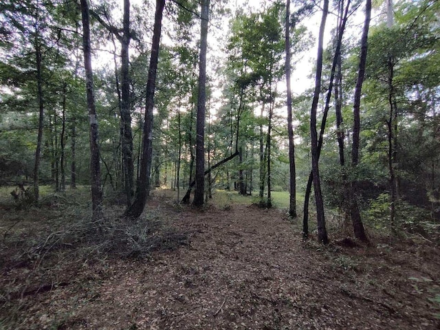 232 Texas Grand Rd, Huntsville, TX 77340 - photo 4