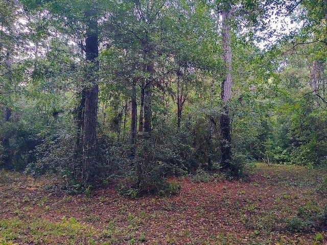 232 Texas Grand Rd, Huntsville, TX 77340 - photo 5
