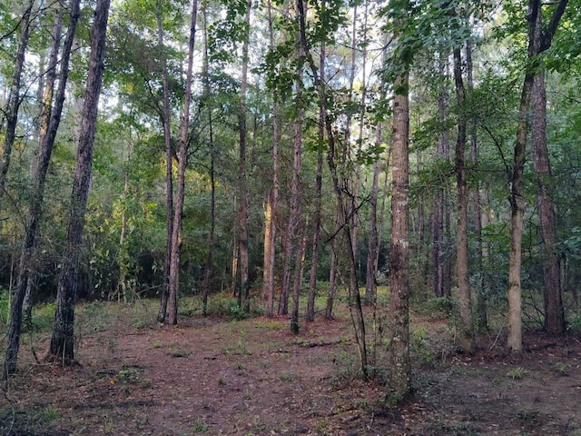 232 Texas Grand Rd, Huntsville, TX 77340 - photo 1