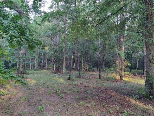 232 Texas Grand Rd, Huntsville, TX 77340 - photo 8