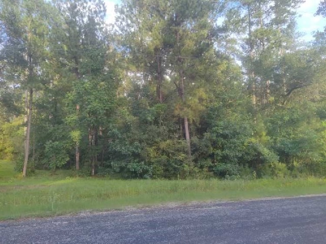 232 Texas Grand Rd, Huntsville, TX 77340 - photo 9