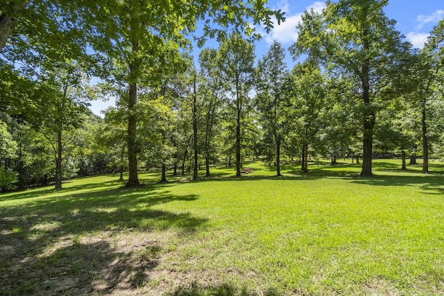 375 Crestview Dr, Livingston, TX 77351 - photo 37
