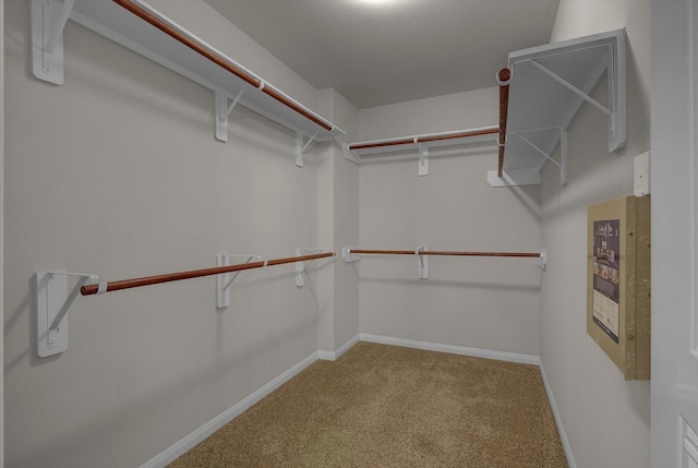 12411 King Olaf Dr, Houston, TX 77044 - photo 23