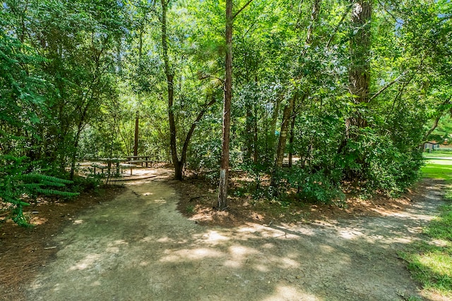 263 Bristol Bend Cir, The Woodlands, TX 77382 - photo 48