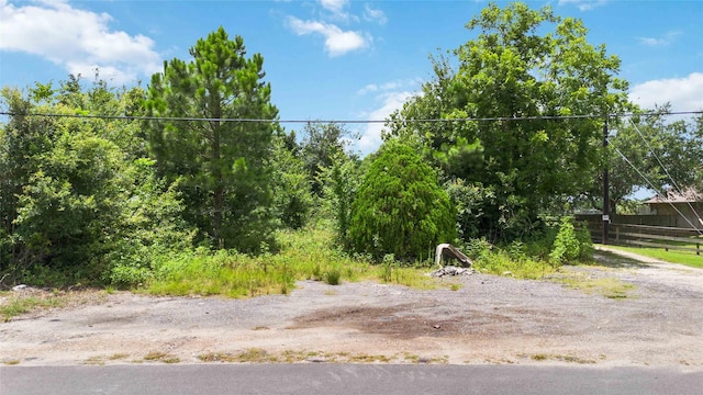 15601 Fir Rd, Santa Fe, TX 77517 - photo 1