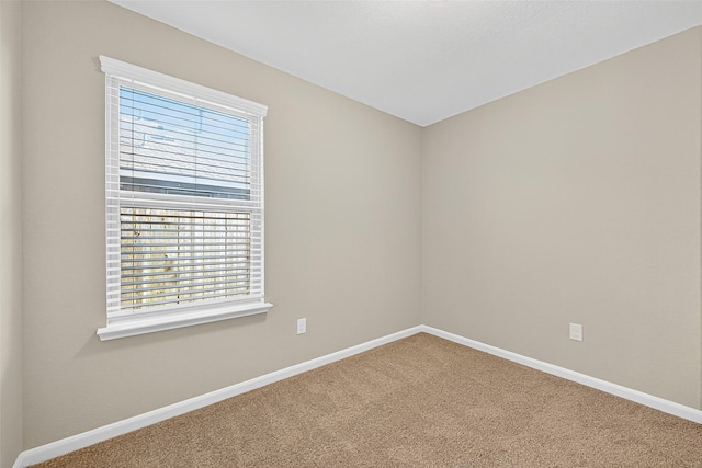 8219 Oakleaf Meadow Ct, Rosharon, TX 77583 - photo 27