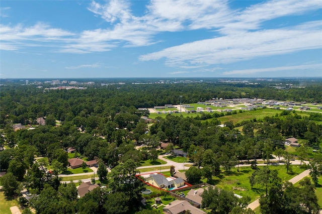 659 Chateau Woods Parkway Dr, Conroe, TX 77385 - photo 44
