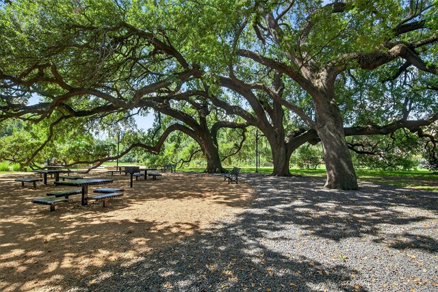 1706 Elgin St, Houston, TX 77004 - photo 37