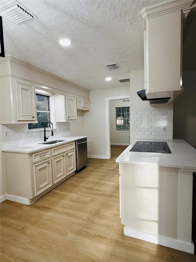 6734 Indian Lake Dr, Missouri City, TX 77489 - photo 7
