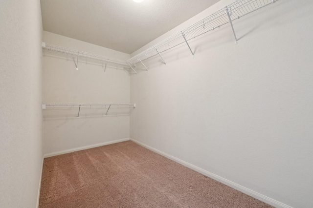 12330 Wavecrest Rd, Texas City, TX 77568 - photo 21