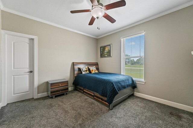 227 Mayad Blvd, Rosharon, TX 77583 - photo 21