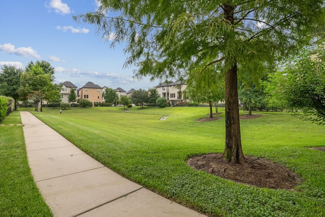 10007 Spring Shadows Park Cir, Houston, TX 77080 - photo 32