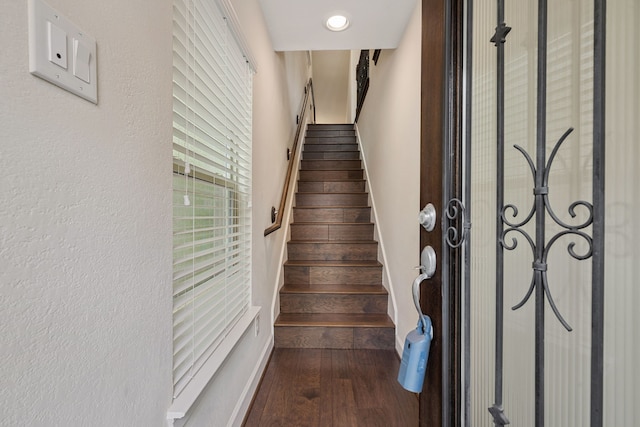 10007 Spring Shadows Park Cir, Houston, TX 77080 - photo 8