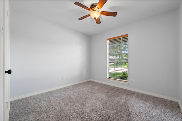16734 Summer Dew Ln, Houston, TX 77095 - photo 17