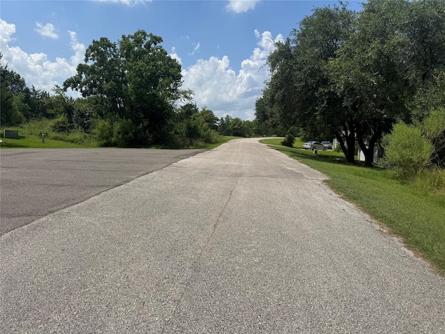 731 N Forest Cove Loop, Coldspring, TX 77331 - photo 4