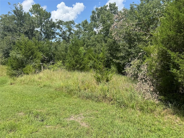731 N Forest Cove Loop, Coldspring, TX 77331 - photo 1