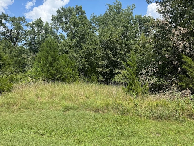 731 N Forest Cove Loop, Coldspring, TX 77331 - photo 3