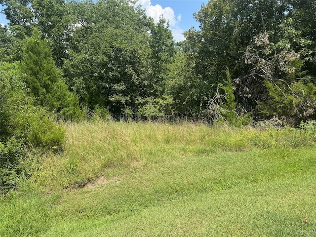 731 N Forest Cove Loop, Coldspring, TX 77331 - photo 2
