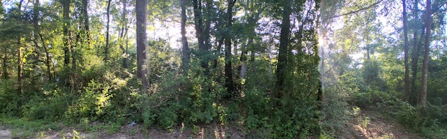 302 Pecan Ct S, Oakhurst, TX 77359 - photo 6