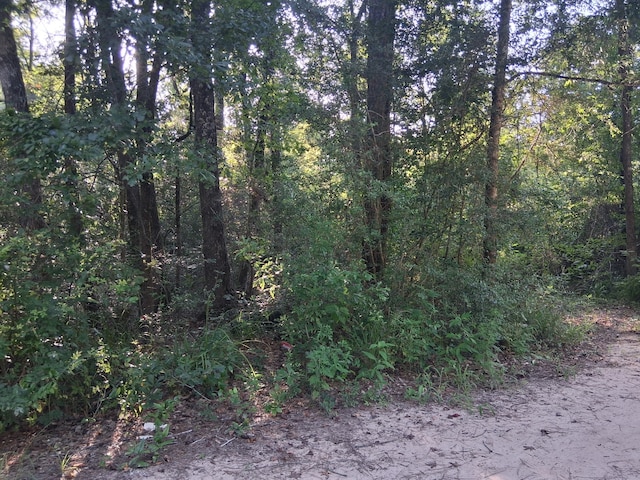 302 Pecan Ct S, Oakhurst, TX 77359 - photo 7