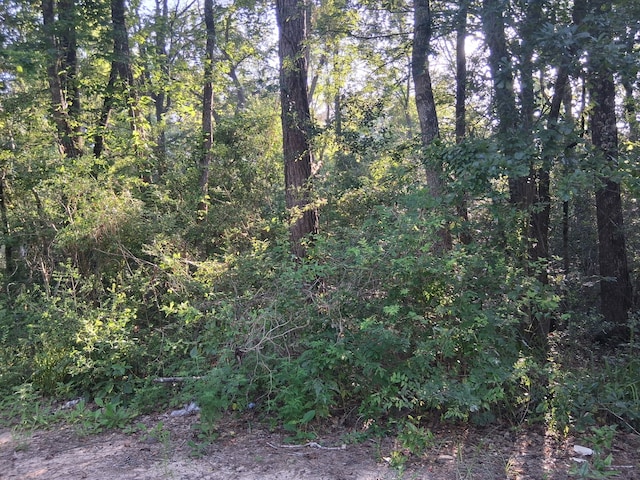 302 Pecan Ct S, Oakhurst, TX 77359 - photo 8